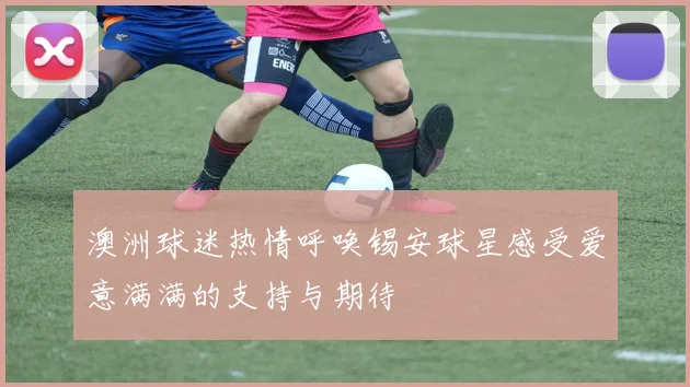澳洲球迷热情呼唤锡安球星感受爱意满满的支持与期待