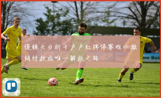 慢镜头分析卡卢卢红牌停赛难以撤销特赦成唯一解救之路